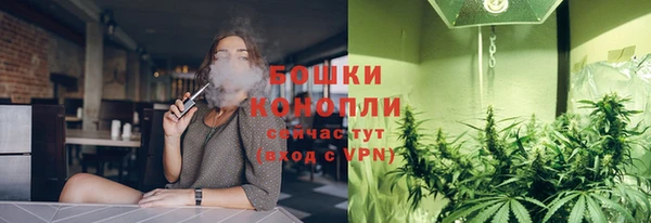 2c-b Богородск
