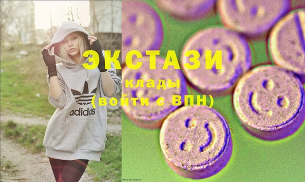 крисы Богородицк