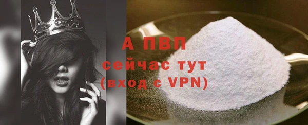 крисы Богородицк