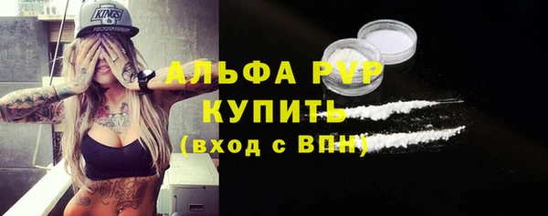 гашик Богданович