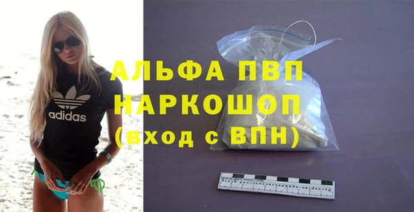 крисы Богородицк