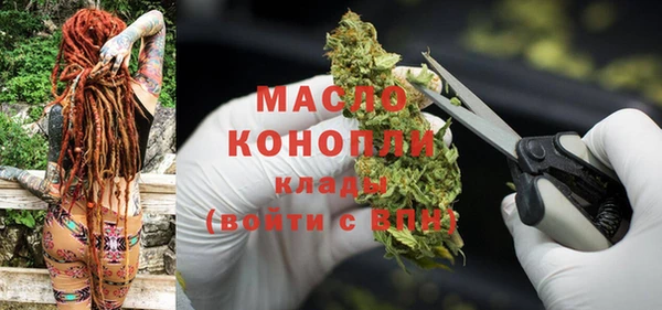 крисы Богородицк