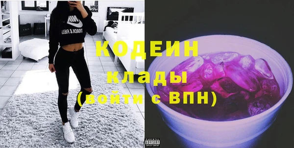 крисы Богородицк