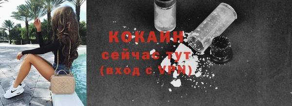 крисы Богородицк