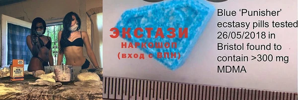 крисы Богородицк