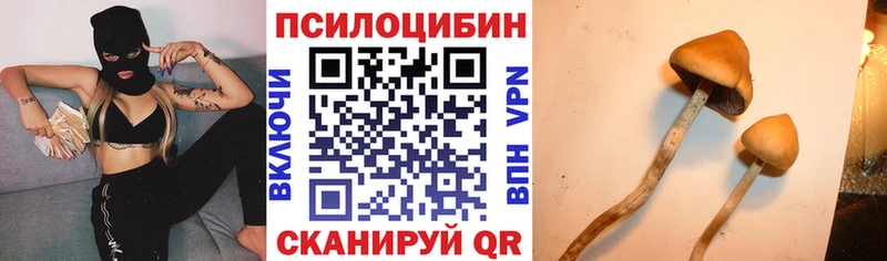 Псилоцибиновые грибы MAGIC MUSHROOMS  Купить  Пионерский 